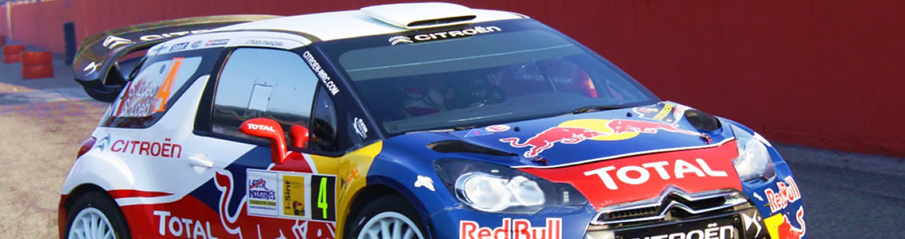 ds3